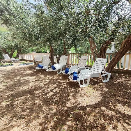 Nada Mustapic * Брела